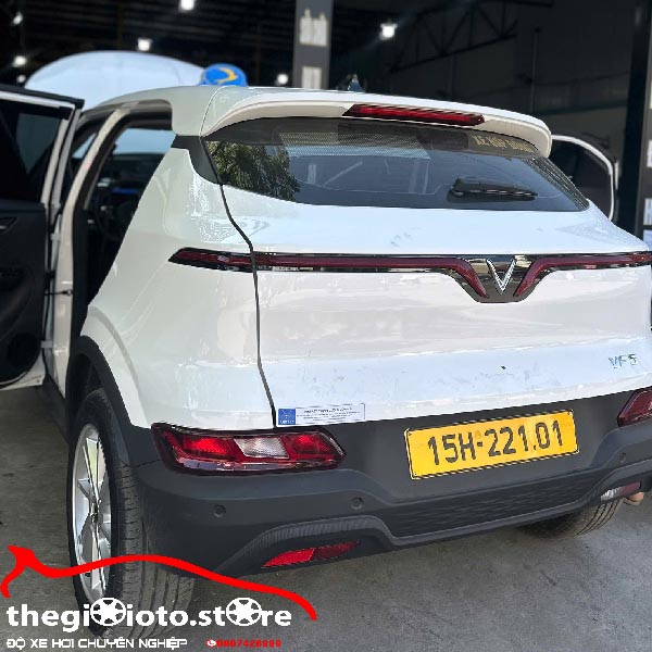 Thay sàn da cho VF5